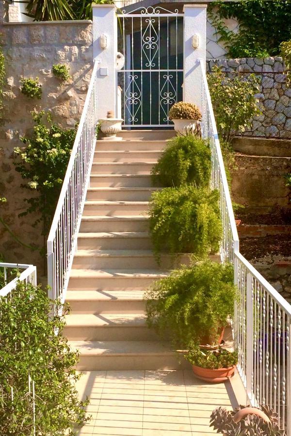 Apartment Rr Dubrovnik Bagian luar foto